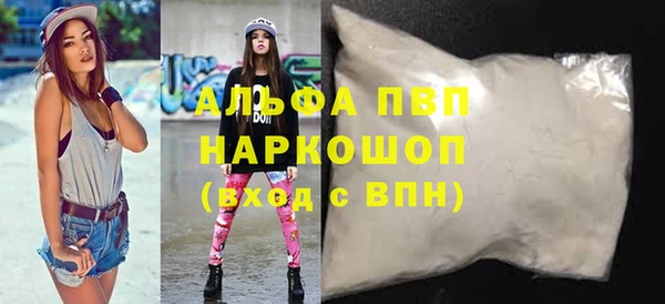 хмурый Алексин