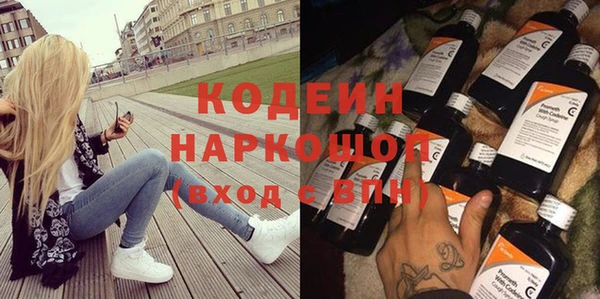 хмурый Алексин
