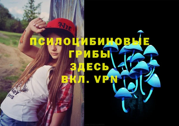 хмурый Алексин