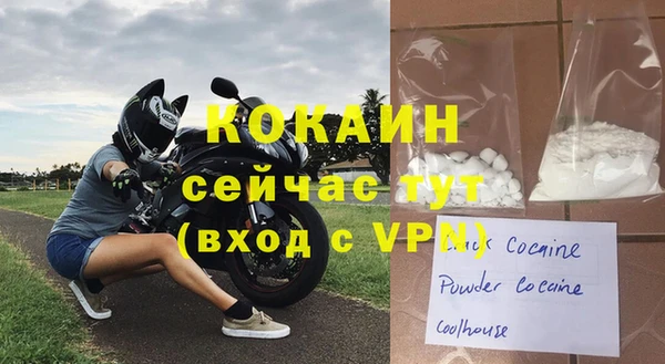 хмурый Алексин