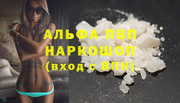 хмурый Алексин