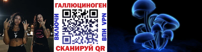 Псилоцибиновые грибы Psilocybine cubensis Славск