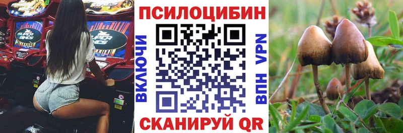 Галлюциногенные грибы Psilocybe Славск