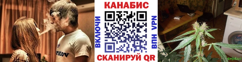 Шишки марихуана конопля  как найти наркотики  Славск 